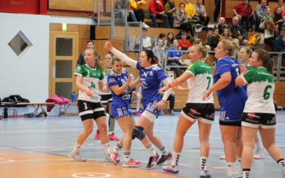 Saisonstart bei den Katzen